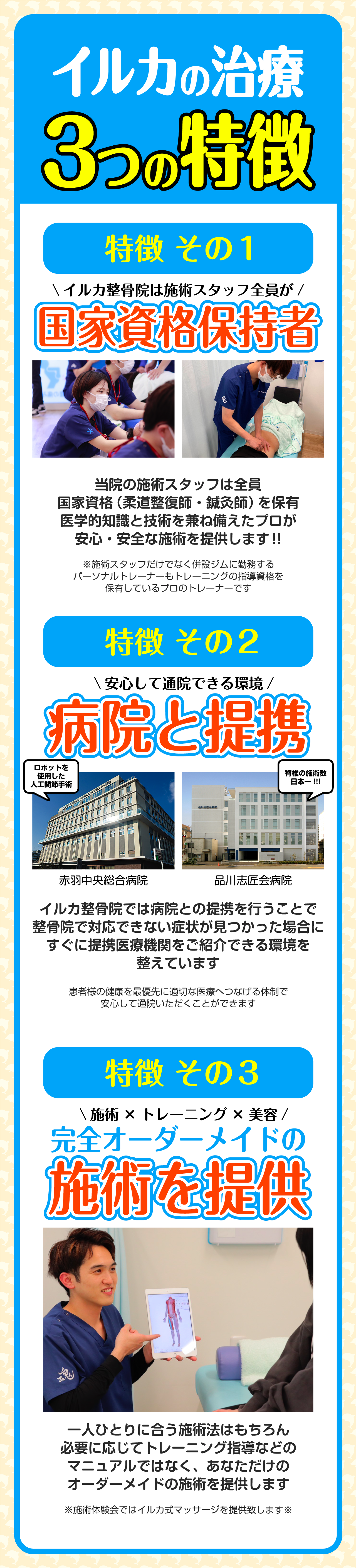 イルカの治療 3つの特徴